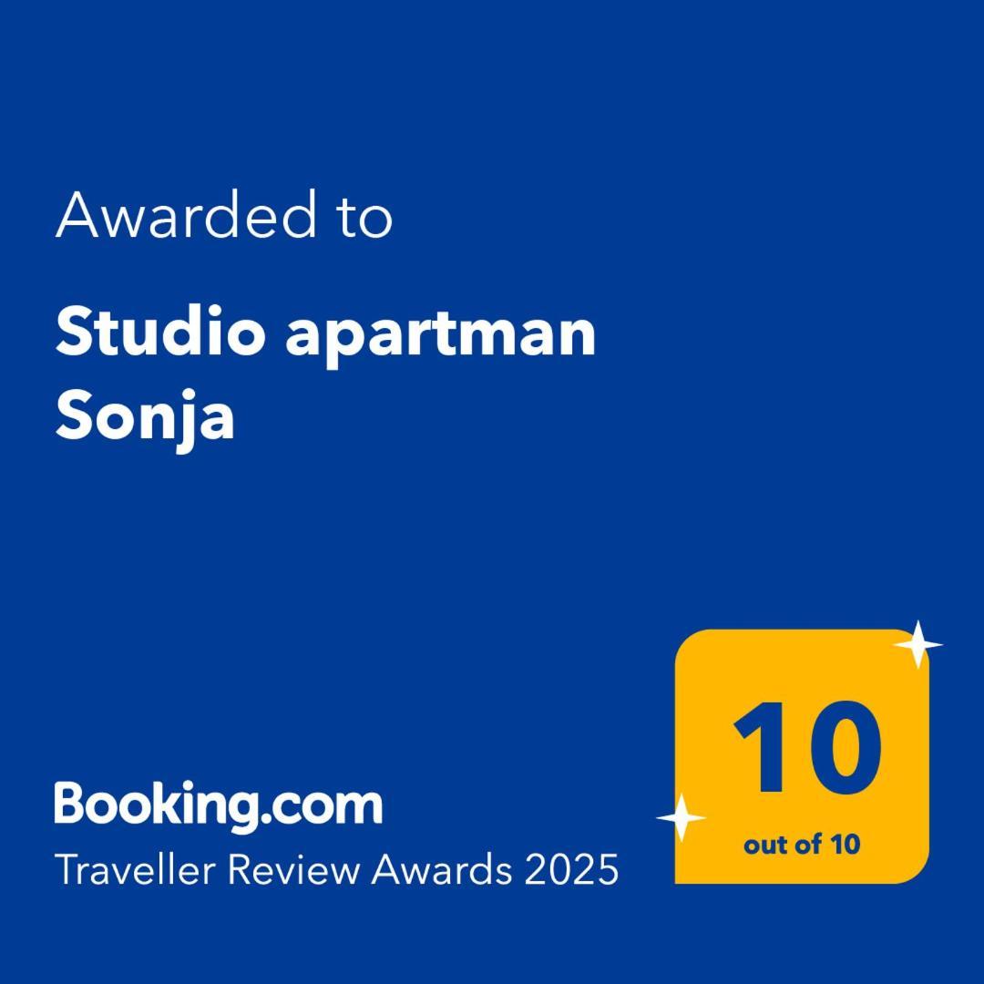 Apartment Sonja Bjelovar